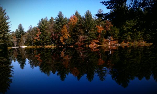 autumn lake - 